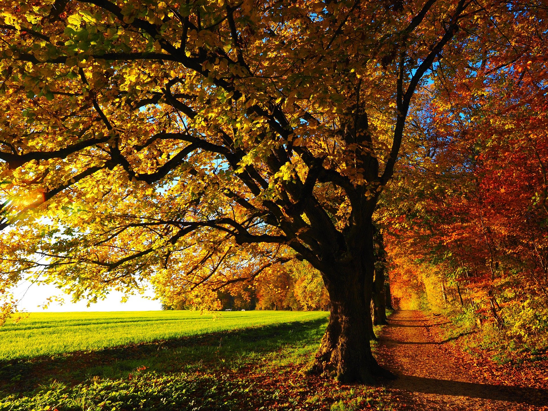 Our Guide to Fall Foliage Across Delaware